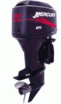 img3631_87145.gif