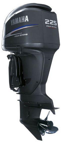 yamaha_225.jpg