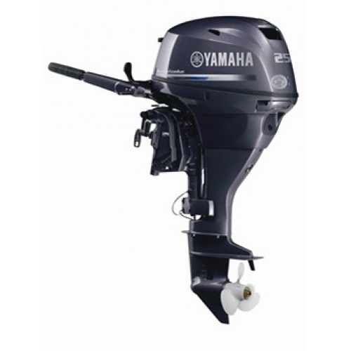 yamaha_f_25_dmhs.jpg
